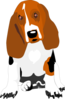 Cartoon Bassett Hound Clip Art